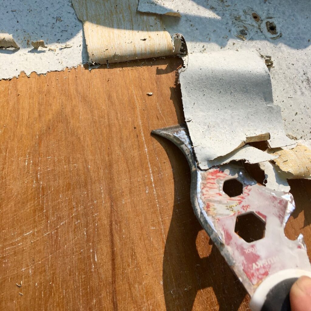 Person Paint Stripping a Door